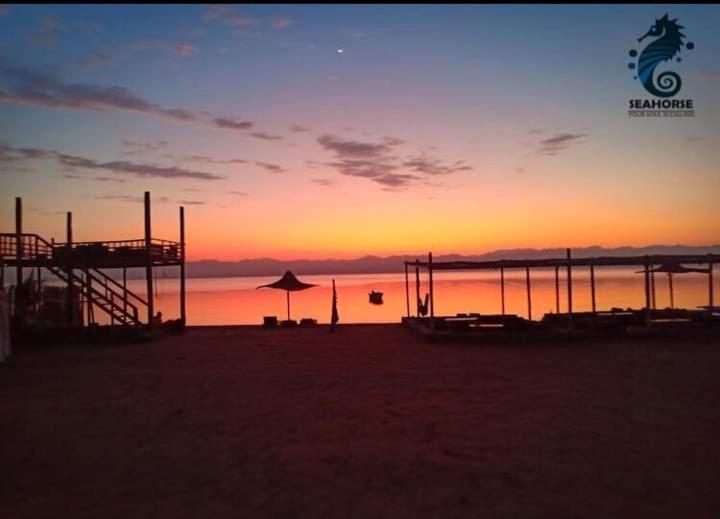 Sea Horse Hotel Nuweiba Exterior photo