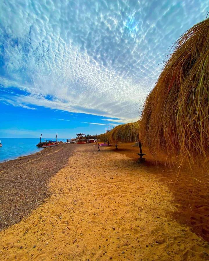 Sea Horse Hotel Nuweiba Exterior photo