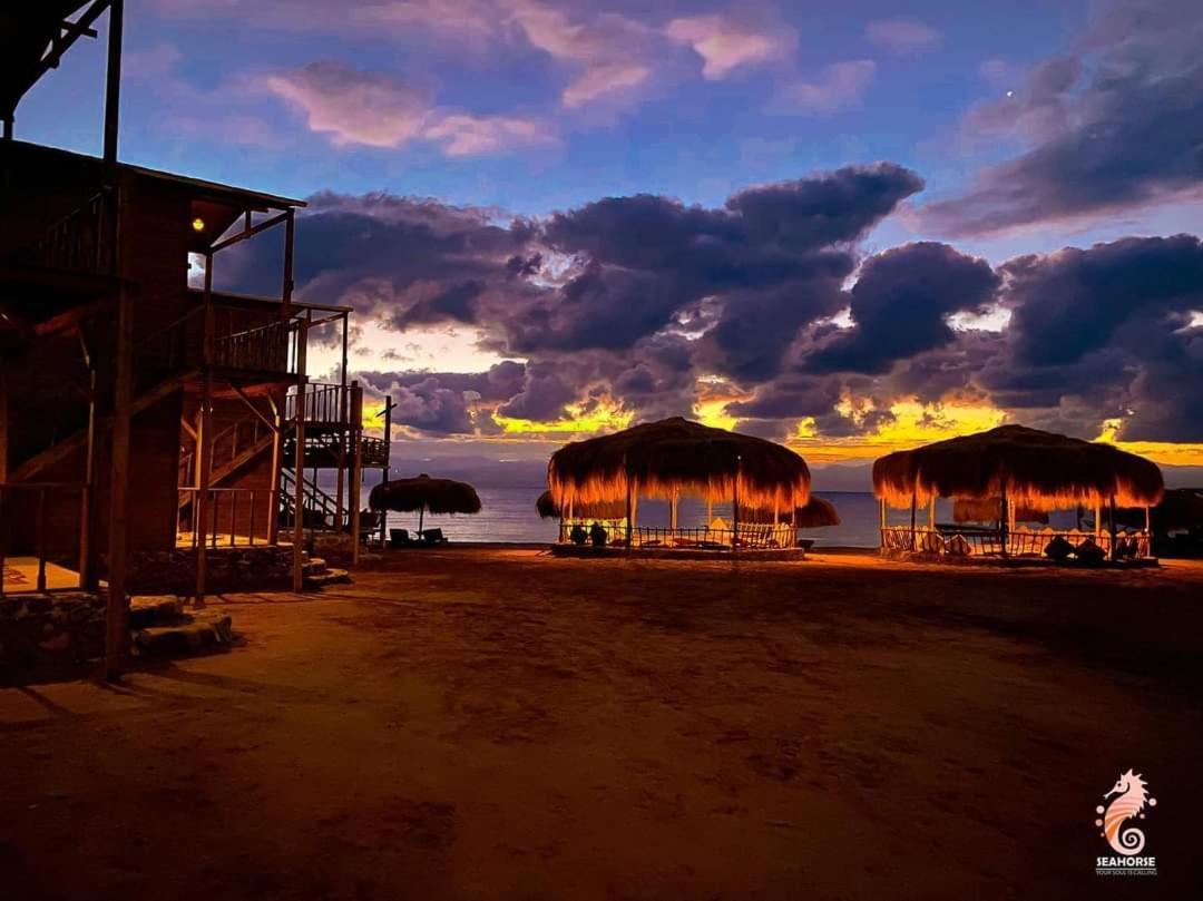 Sea Horse Hotel Nuweiba Exterior photo