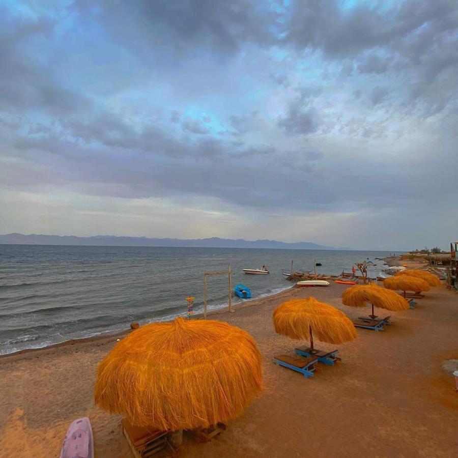 Sea Horse Hotel Nuweiba Exterior photo