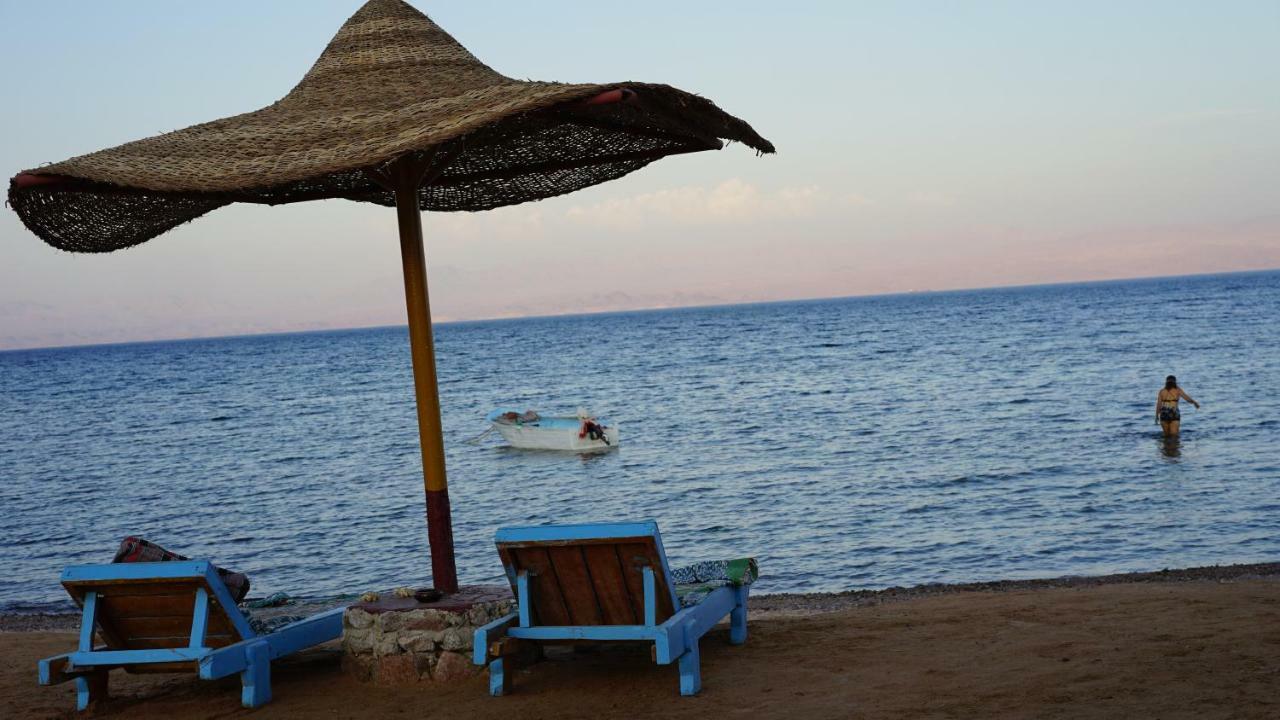 Sea Horse Hotel Nuweiba Exterior photo