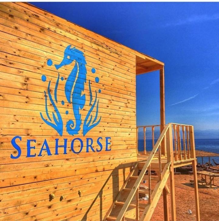 Sea Horse Hotel Nuweiba Exterior photo